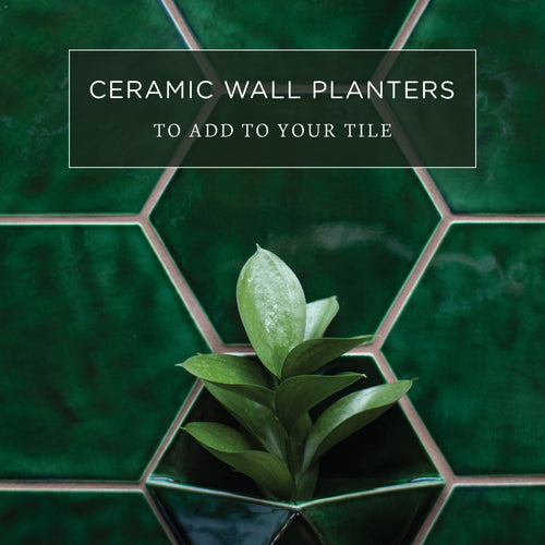 Ceramic Wall Planters to Add to Your Tile