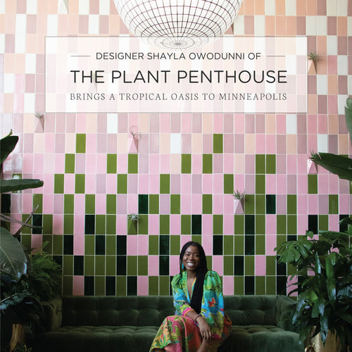 Designer Shayla Owodunni of the Plant Penthouse Brings a Tropical Oasis to Minneapolis