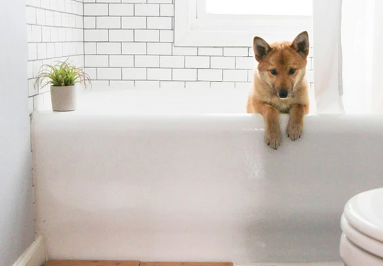 Denim Hexagon Bathroom Floor Tile