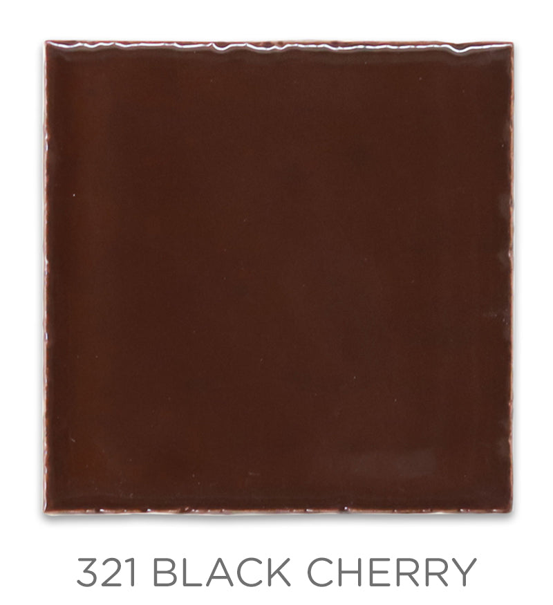 2"x2" Color Chips