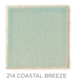 2"x2" Color Chips