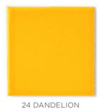 2"x2" Color Chips