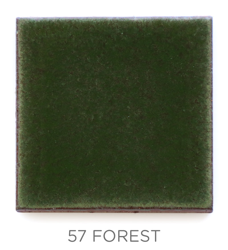 2"x2" Color Chips