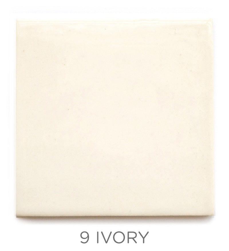 2"x2" Color Chips