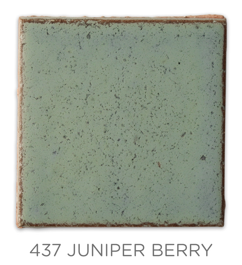 2"x2" Color Chips
