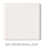 2"x2" Color Chips