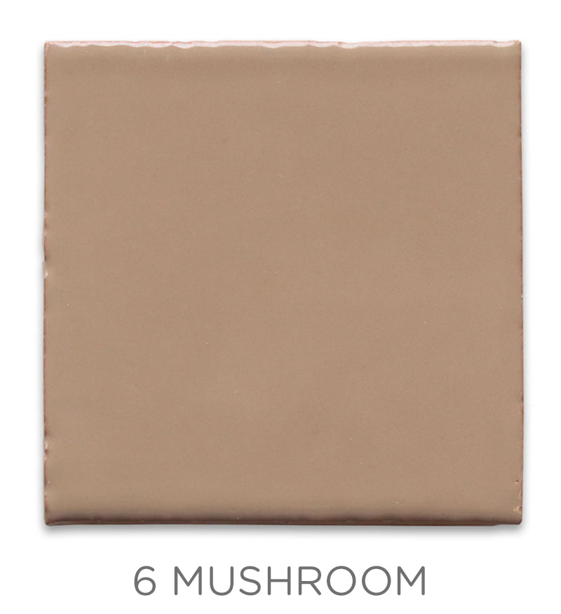 2"x2" Color Chips