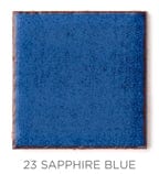 2"x2" Color Chips