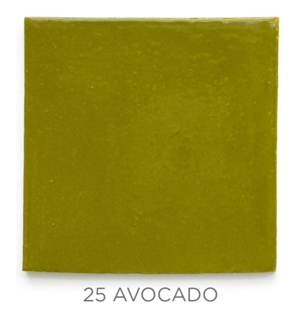 2"x2" Color Chips