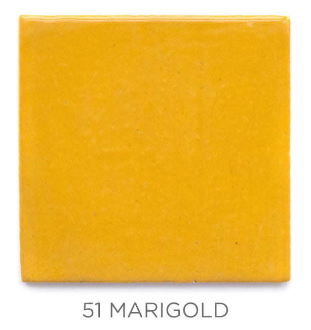 2"x2" Color Chips