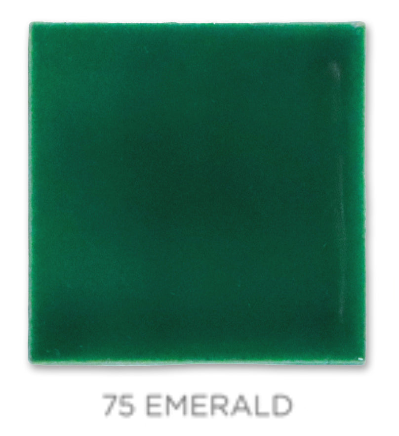 2"x2" Color Chips