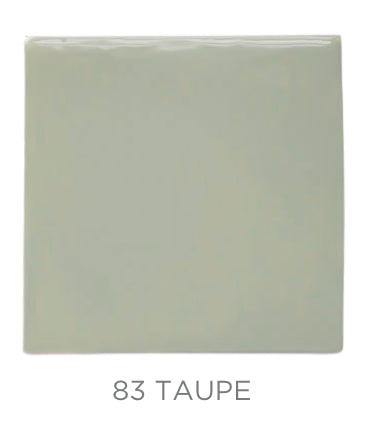 2"x2" Color Chips