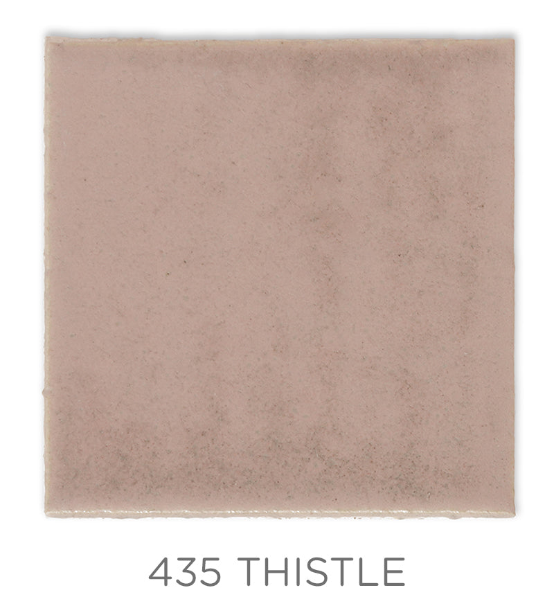 2"x2" Color Chips