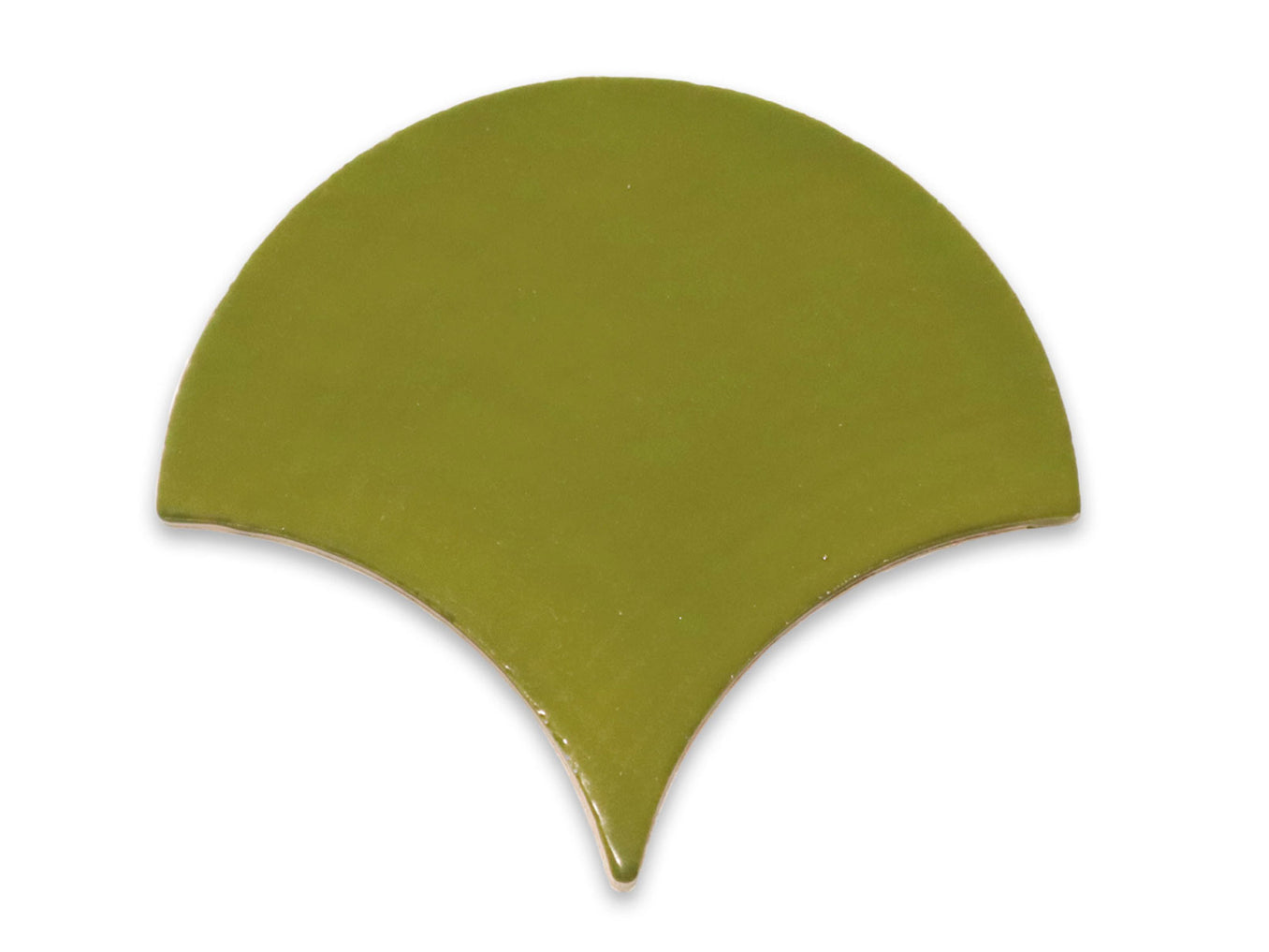 Large Moroccan Fish Scales - 25 Avocado