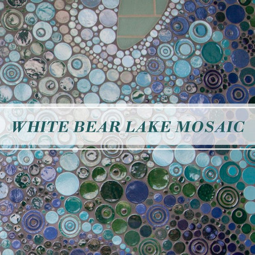 White Bear Lake Mosaic - A Must-See Bathroom!