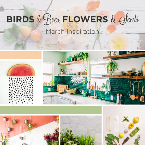 Birds & Bees, Flowers & Seeds