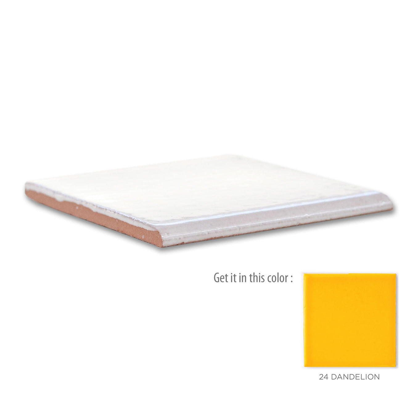 4"x4" Bullnose - 24 Dandelion