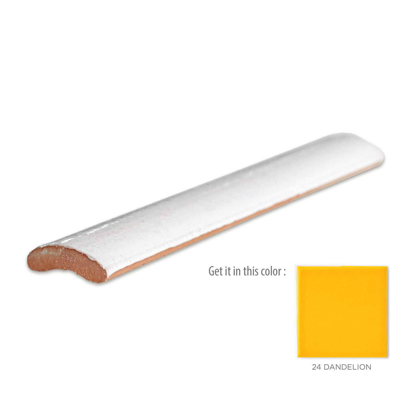 Quarter Round - 24 Dandelion