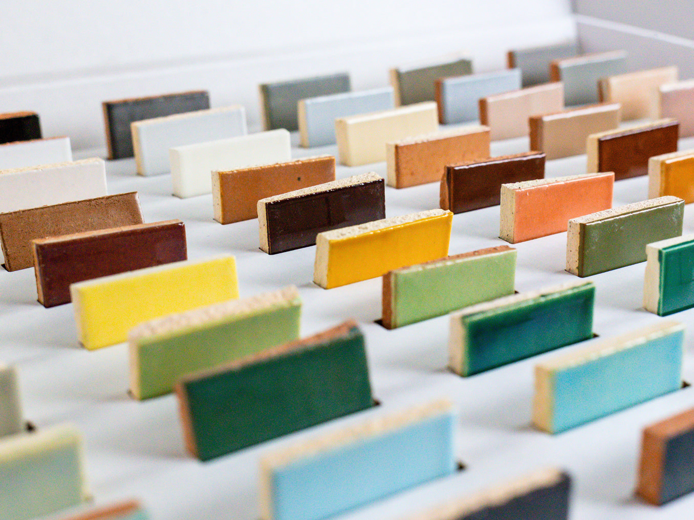 Signature Color Palette