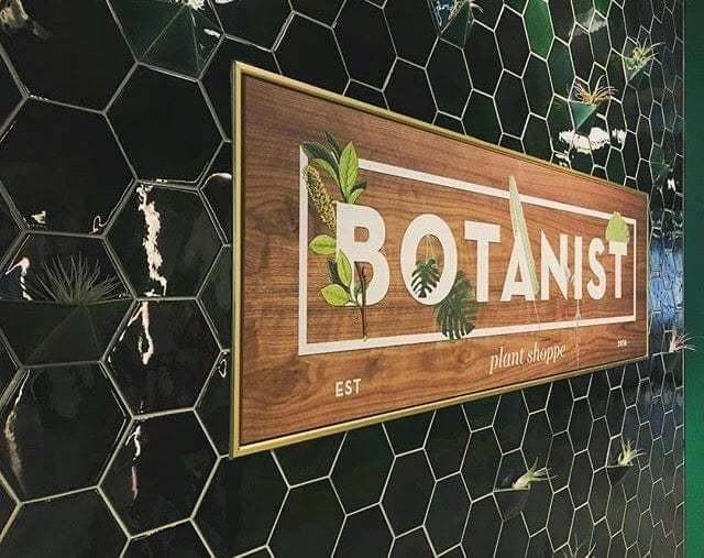 Large Hexagon - Vermont Pine Installed